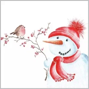 Фото Салфетки бумажные "Милый снеговик" 20x20см, 2 слоя, 30шт. Bouquet Art 57837. Интернет-магазин FOROOM