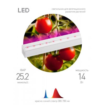 Фото Линейный светильник красно-синего спектра ФИТО ЭРА FITO-14W-Т5-N. Интернет-магазин FOROOM
