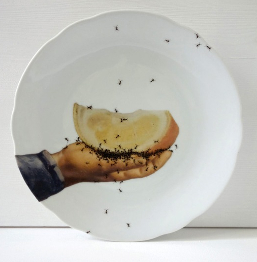 Прекрасная и ужасная муравьиная посуда
