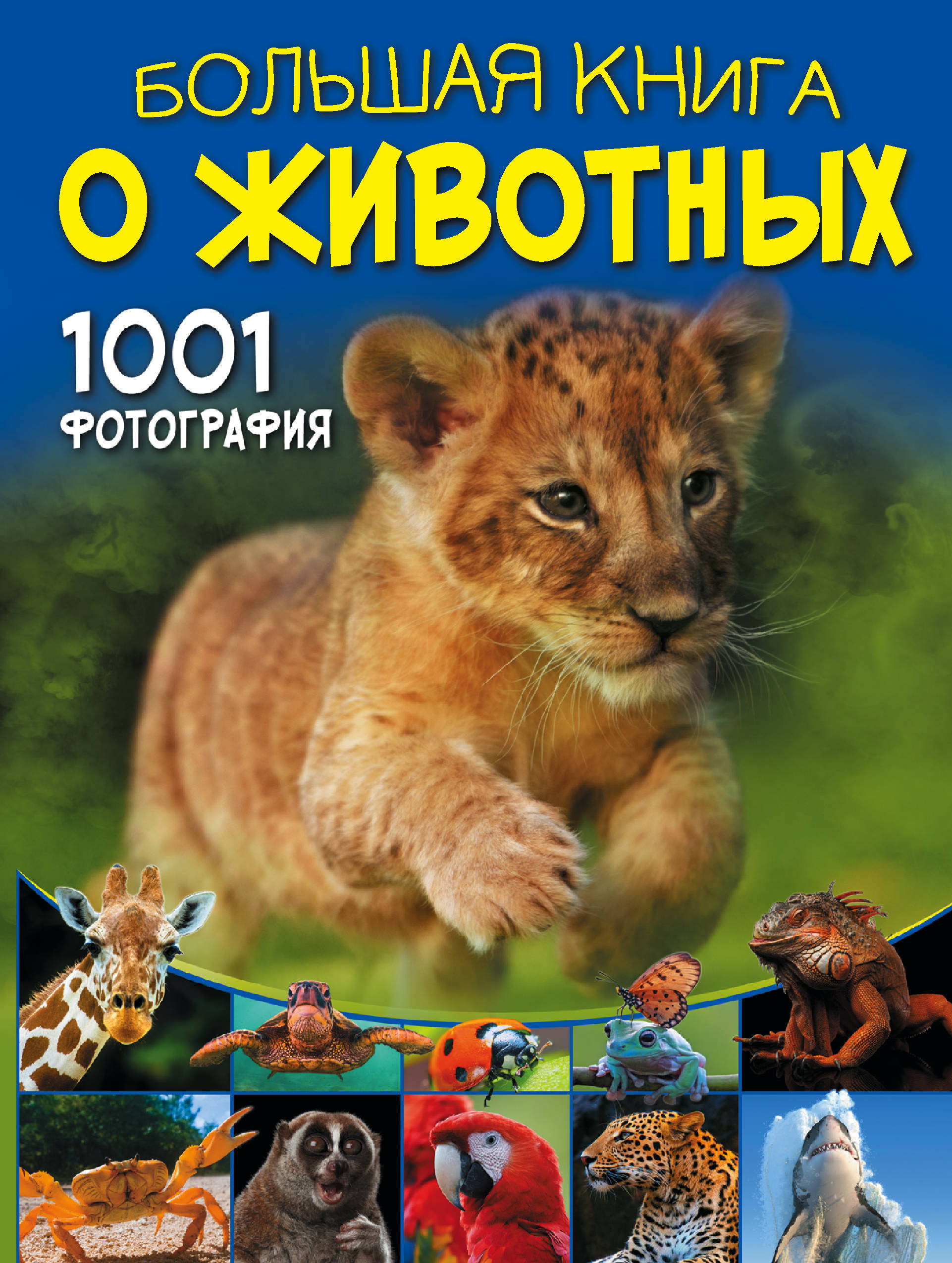 Фото БолКнОбоВсём/Большая книга о животных. 1001 фотография. Интернет-магазин FOROOM