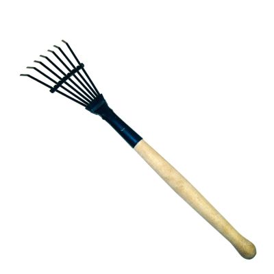 Фото Грабли веерные металлические 50 см, 7 зубьев, с деревянной ручкой   010810. Интернет-магазин FOROOM