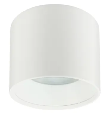 Фото Потолочный светильник ЭРА OL8 GX53 WH, 100*95*105, накл. под лампу Gx53, алюминий, белый+хром 1/40. Интернет-магазин FOROOM
