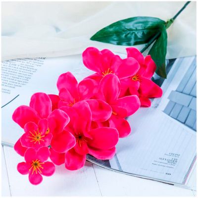 Фото Цветок искусственный "Орхидея Амезиелла" 65 см СимаГлобал  701713. Интернет-магазин FOROOM