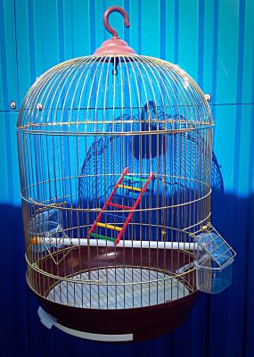 Фото Клетка для птиц 370G золотая, 48,5*76 см.. Интернет-магазин FOROOM