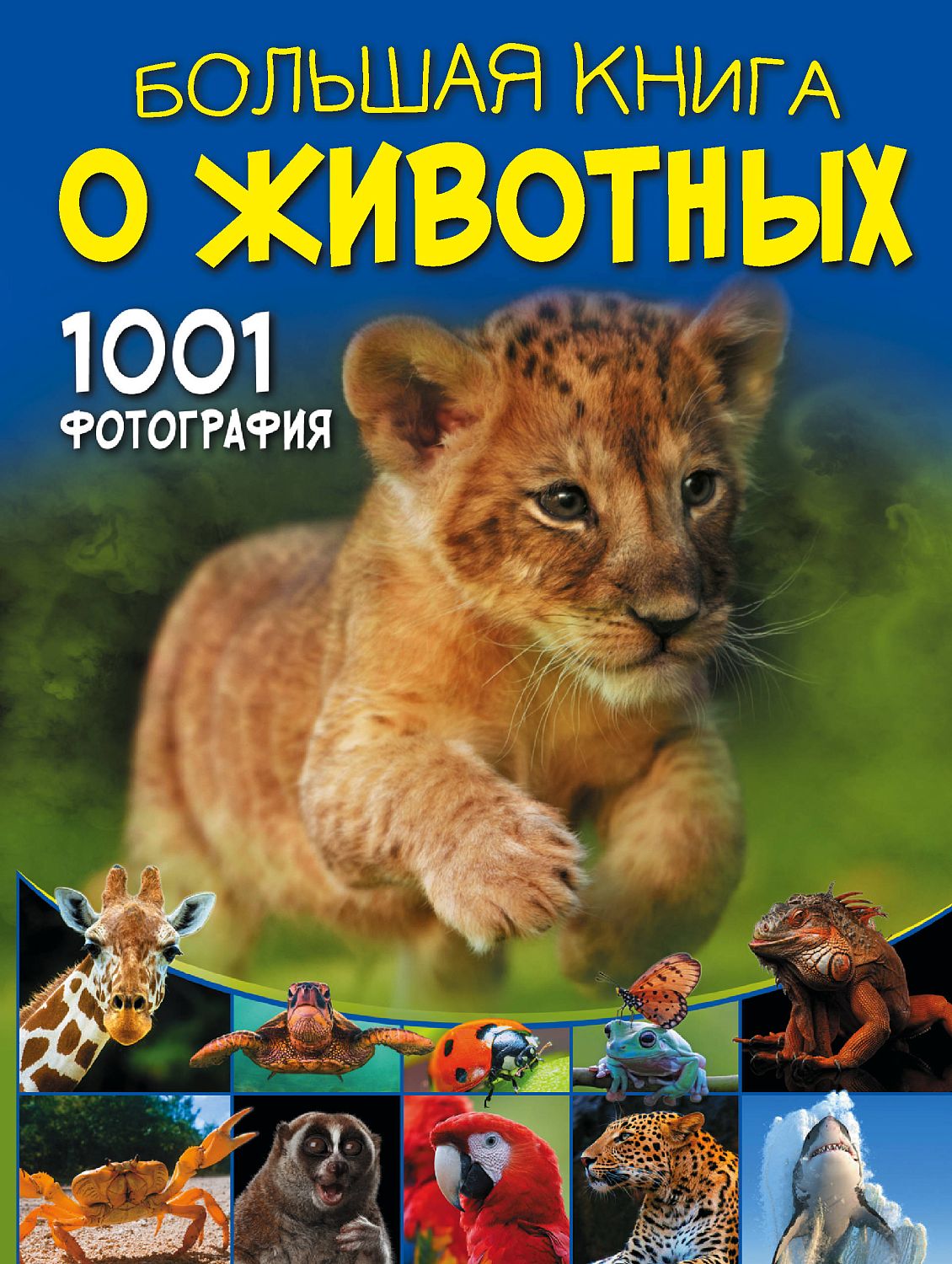 БолКнОбоВсём/Большая книга о животных. 1001 фотография