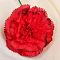 Цветок искусственный "Гвоздика красная с кантом" 50 см СимаГлобал  183277