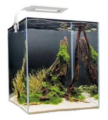 Фото Aquael Аквариум Shrimp Set Smart 2 Day & Night, белый 20x20x25 см., куб, 10 л., шт. Интернет-магазин FOROOM