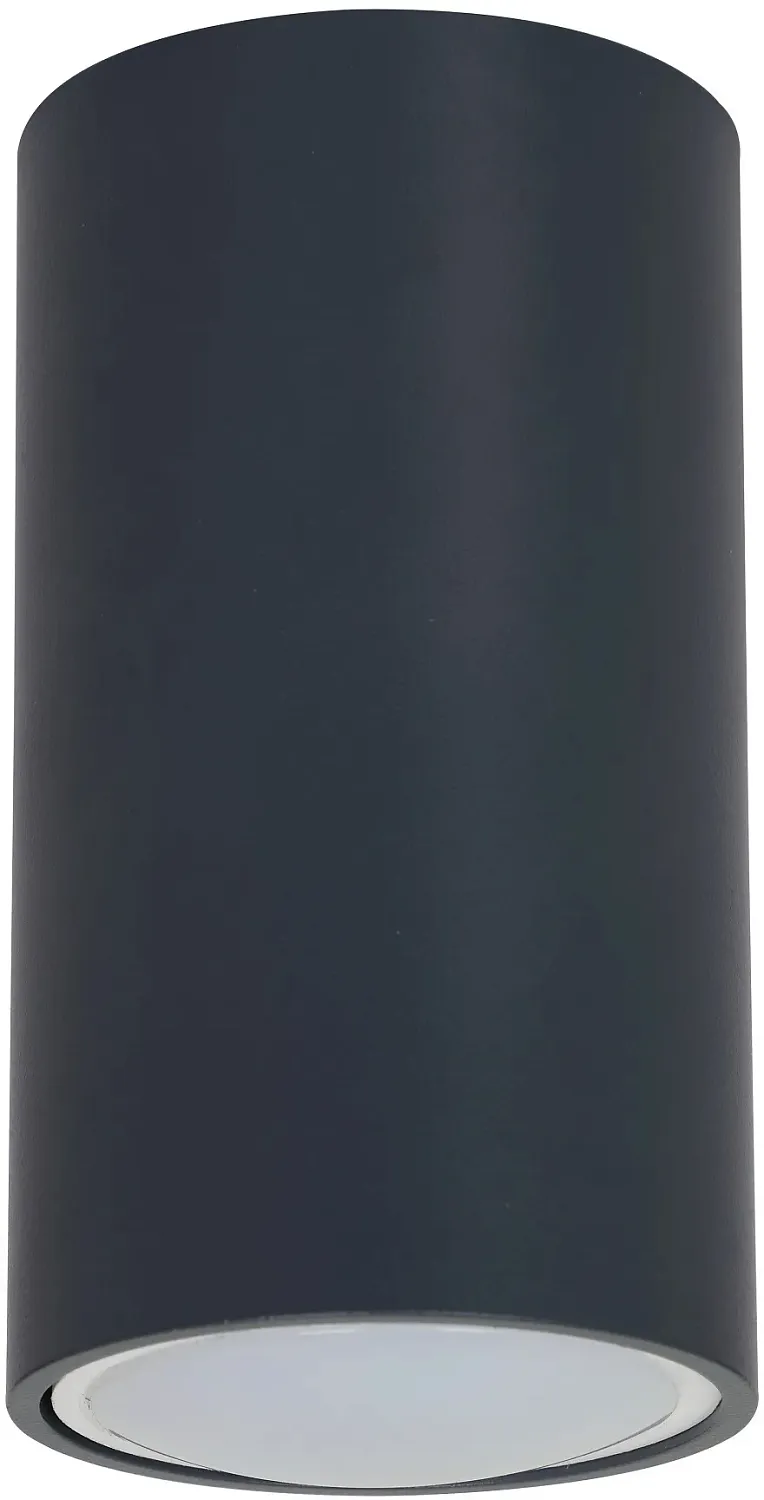 Потолочный светильник ЭРА OL15 GU10 DG, 55*100, накладной, темно-серый 1/40