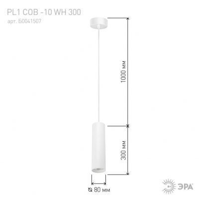 Фото Светильники подвесной светодиодный PL1 COB -10 WH 300, COB, 10W, D80*300мм, белый ЭРА 1/20. Интернет-магазин FOROOM
