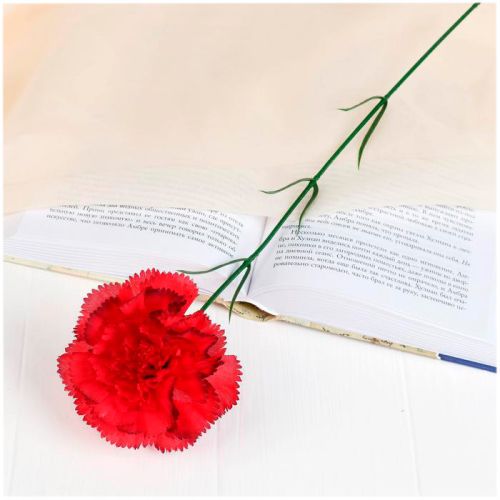 Фото Цветок искусственный "Гвоздика красная с кантом" 50 см СимаГлобал  183277. Интернет-магазин FOROOM