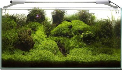 Фото Aquael Светильник светодиодный LEDDY SLIM 10W PLANT 50-70см. Интернет-магазин FOROOM