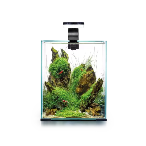 Фото Aquael Аквариум Shrimp Set Smart  D&N черный 20x20x25 см., куб, 10 л., шт. Интернет-магазин FOROOM